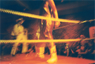Wrestling Bash